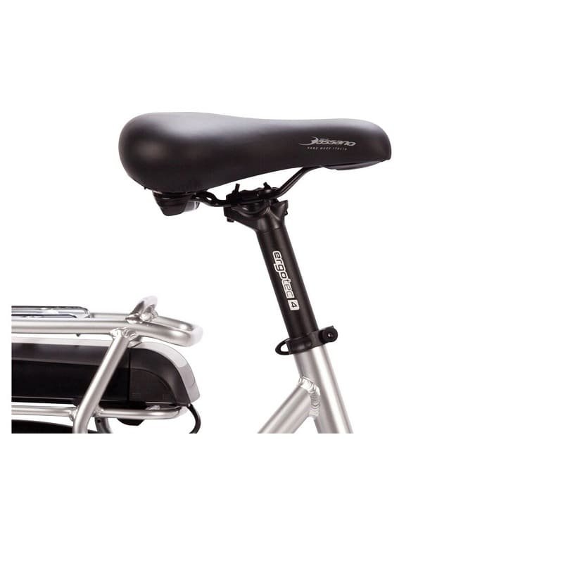 Carver Cityzen E.310 RT - 400 Wh - Auslaufmodell - 28 Zoll - Tiefeinsteiger – Bild 2
