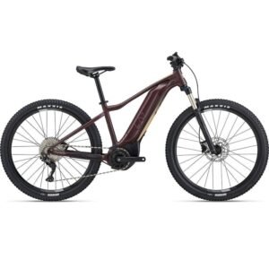 Liv Tempt E+ 1 V1 - 500 Wh - 2024 - 29 Zoll - Diamant