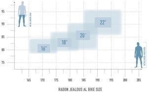 Radon Jealous AL 9.0 MS – Bild 2