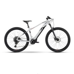 Raymon HardRay E 7.0 - 630 Wh - 2024 - 29 Zoll - Diamant
